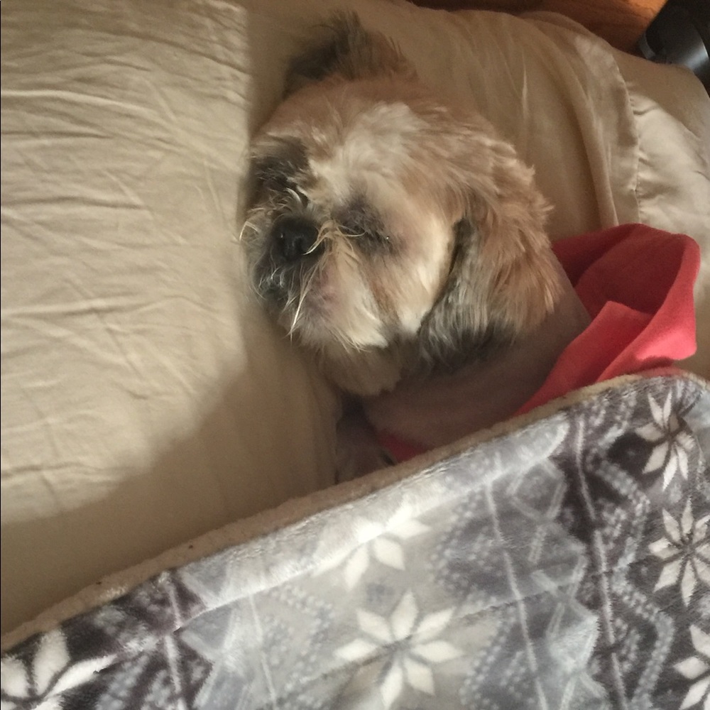 Meet your Posher, Stacey