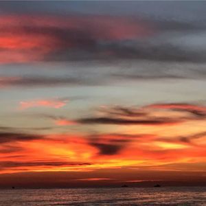 Meet your Posher, Bejan