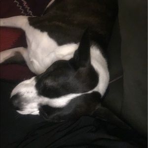 Meet your Posher, Laura