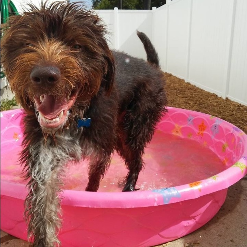 Meet your Posher, Jes