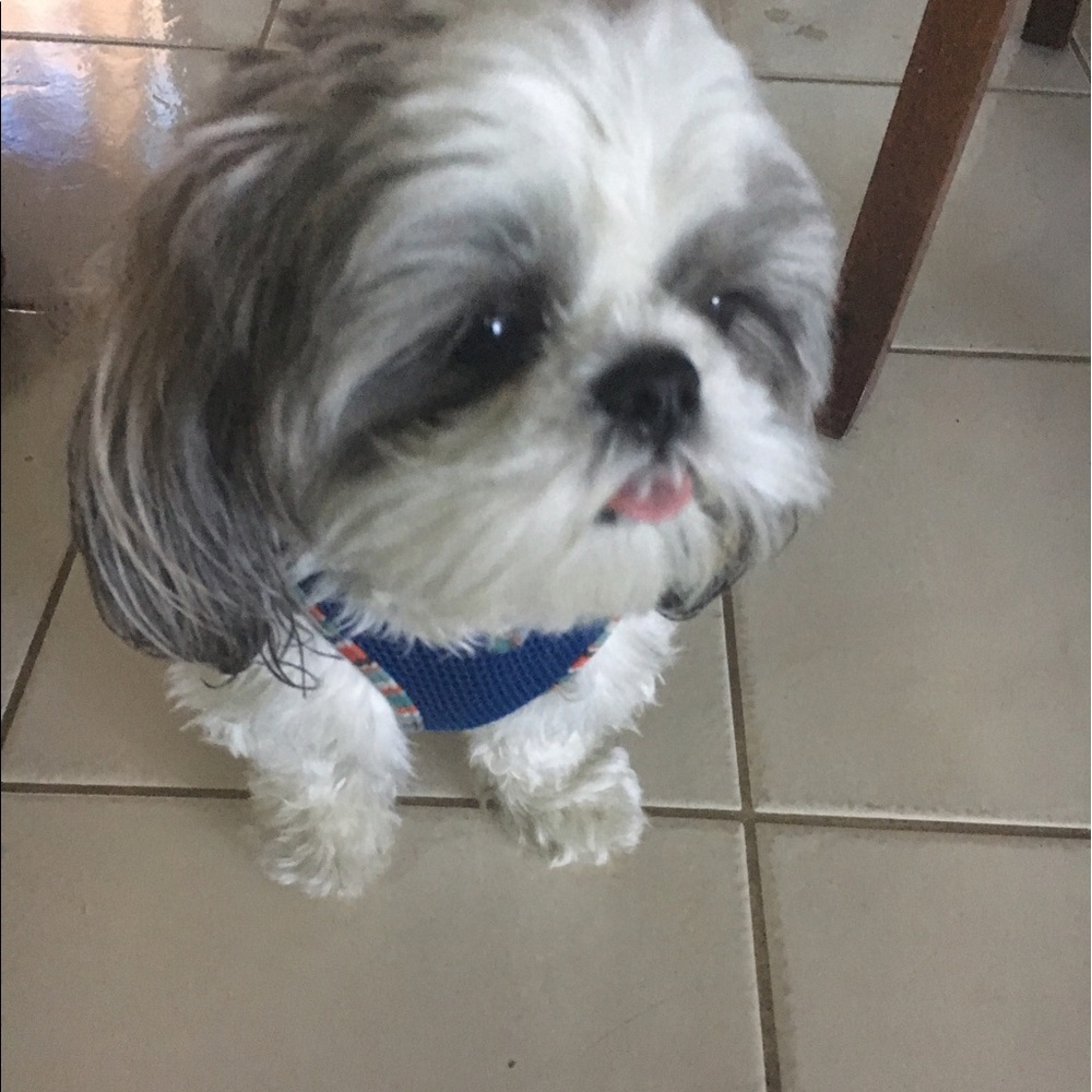 Meet your Posher, Judy