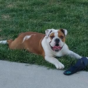 Meet your Posher, Tina