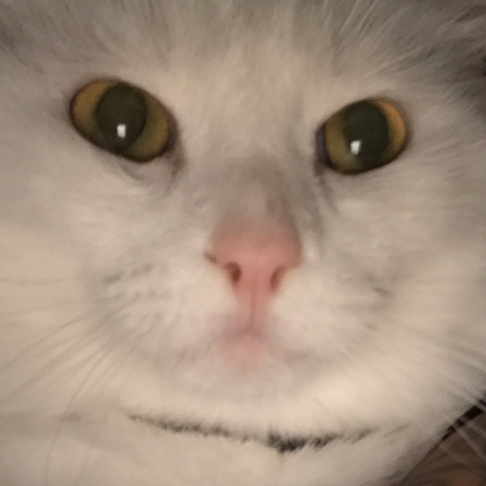 Meet your Posher, Maria