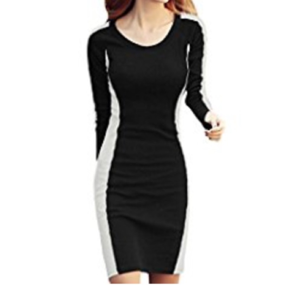 Bodycon Color Block Dress