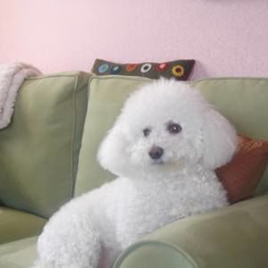 Meet your Posher, Jane