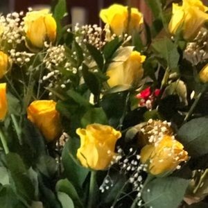 Meet your Posher, Evelin