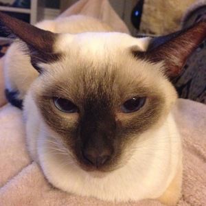 Meet your Posher, Jay