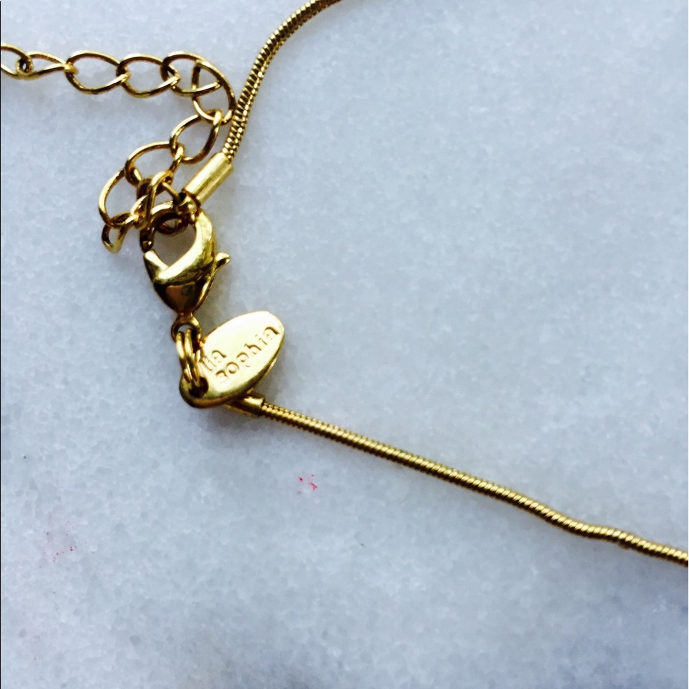 Lia Sophia Minimalist Necklace - Picture 3 of 5