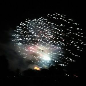 Meet your Posher, Iris