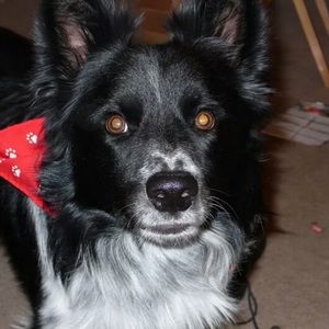 Meet your Posher, Justin