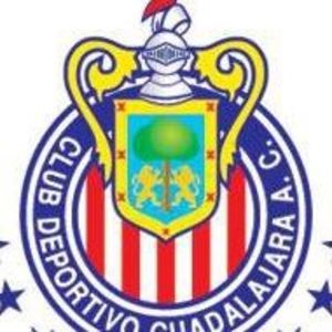 Meet your Posher, Miguel