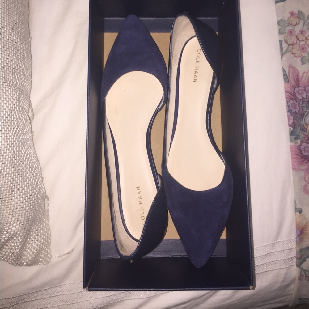 Cole Hann Navy Blue Flat