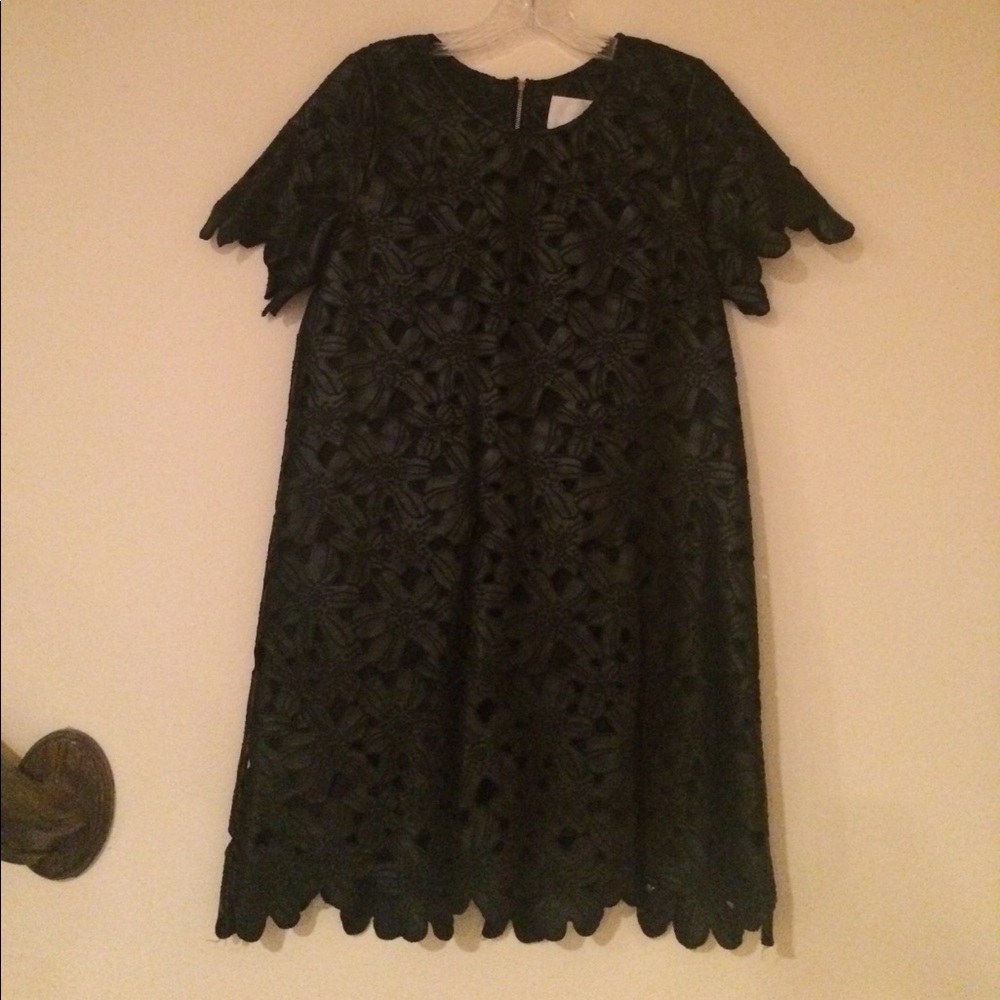 Mixed Material Embroidered Mini - image 1