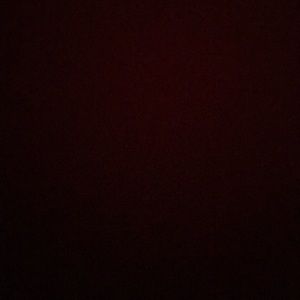 Meet your Posher, Dennis