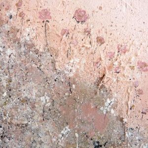 Meet your Posher, Shelby