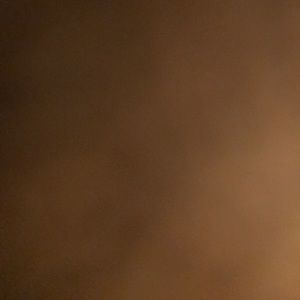 Meet your Posher, Lynn