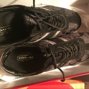 Coach shoes