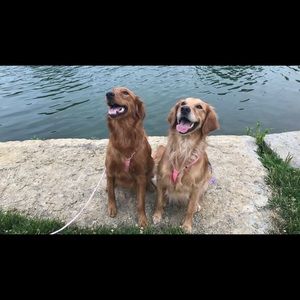 Meet your Posher, Caitlin