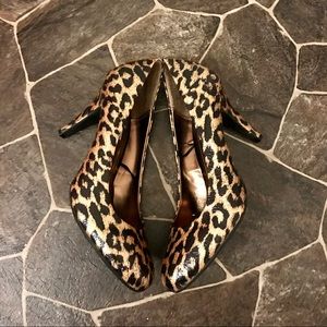 Steve Madden Leopard Pumps