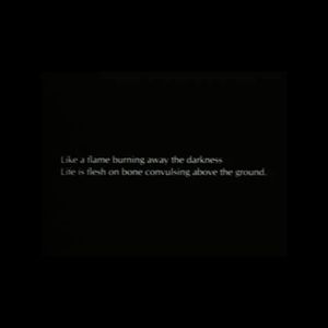 Meet your Posher, Diego