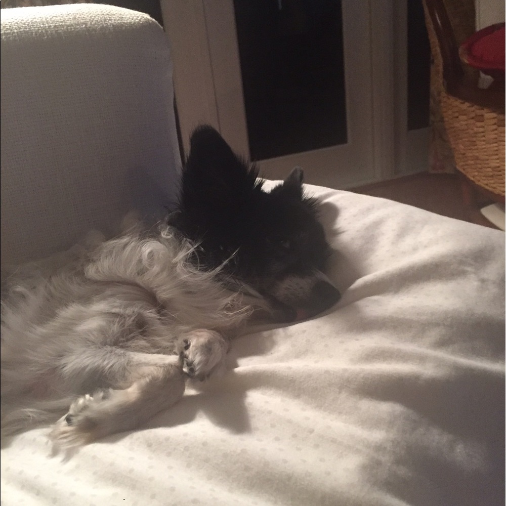 Meet your Posher, Kyle