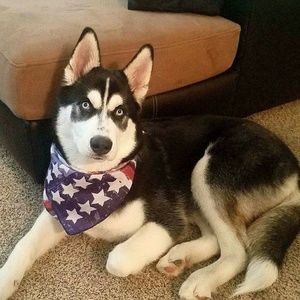 Meet your Posher, Madison