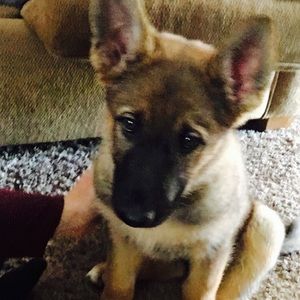 Meet your Posher, Alyssa