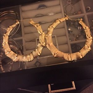 Fashion Nova Earrings (never worn)