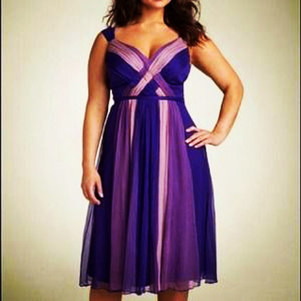 NWT Robbie Bee Ombré Dress