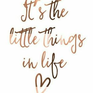 Meet your Posher, Ralphy