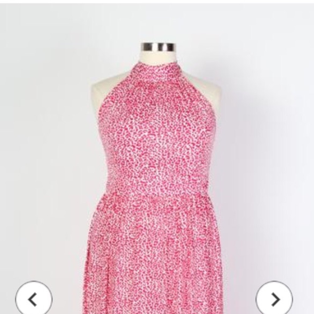 Animal Print Maxi Dress