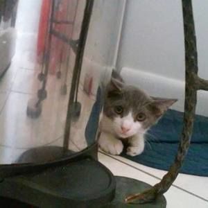 Meet your Posher, Yannira