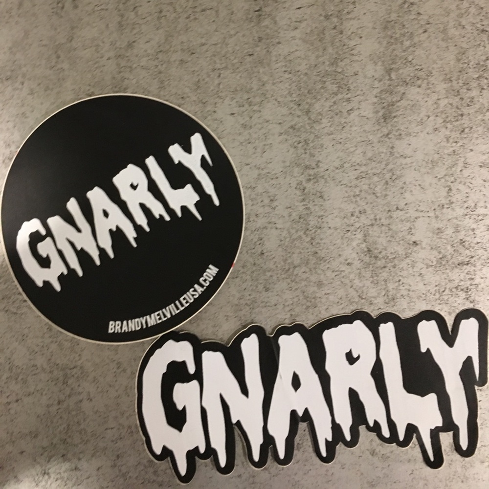 2 RAREST Brandy Melville Stickers