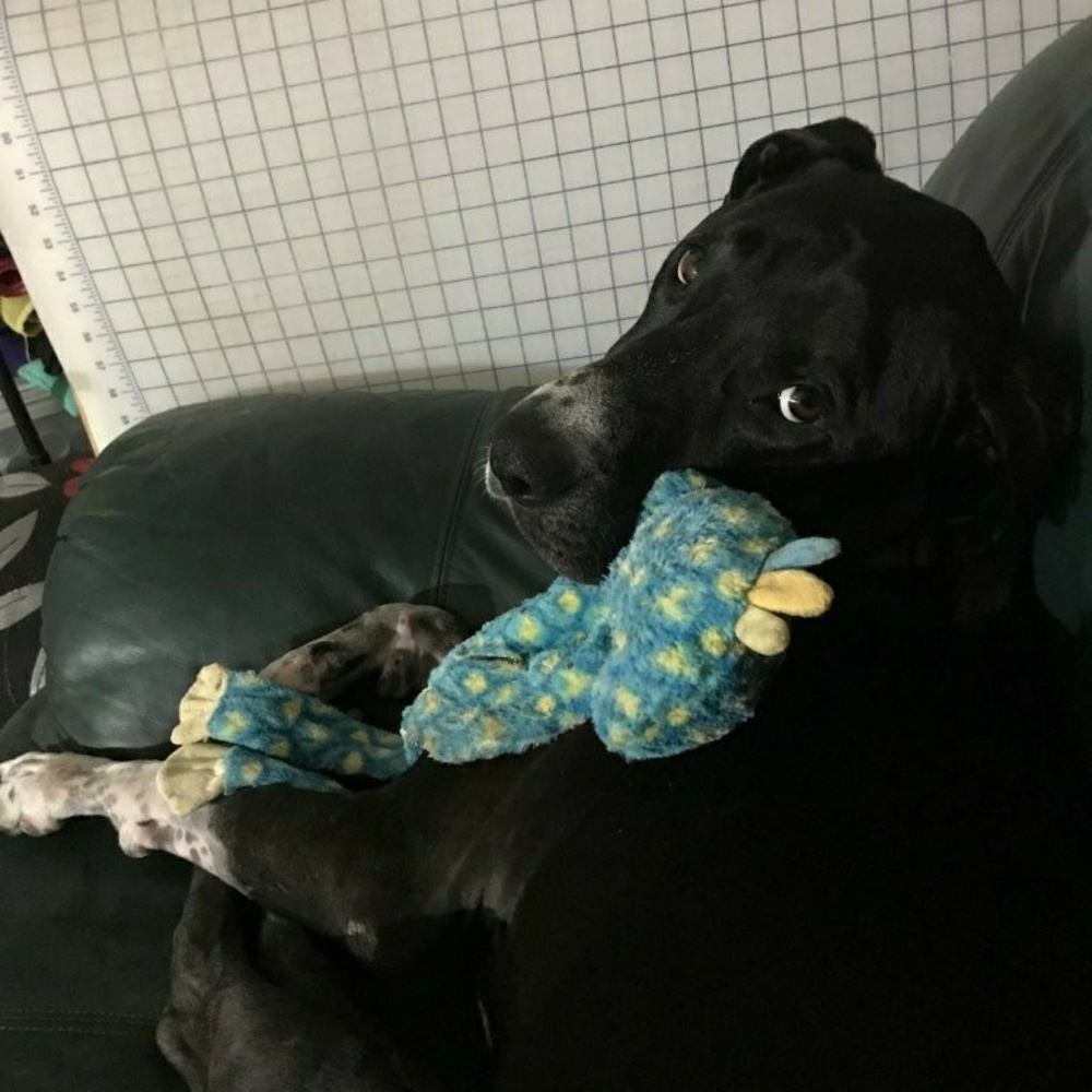 Meet your Posher, Amanda