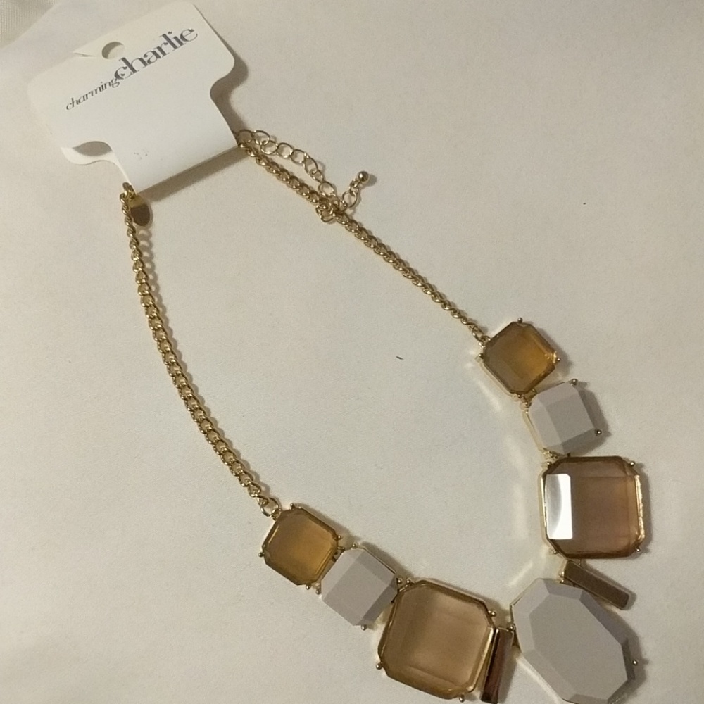 Brand New Charming Charlie Necklace