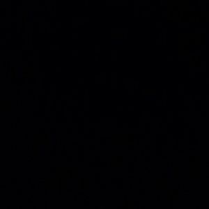 Meet your Posher, Lino