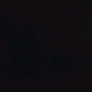 Meet your Posher, Miguel