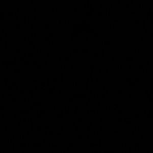 Meet your Posher, Dilan