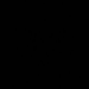 Meet your Posher, Alan