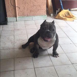 Meet your Posher, Erick