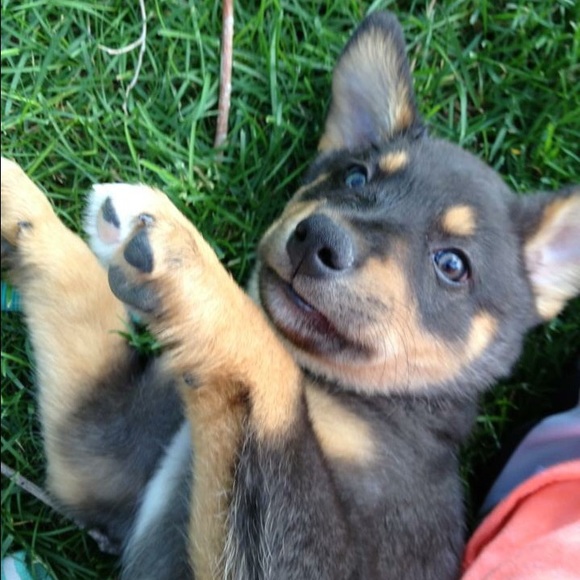 Hey I'm Rosalie - Picture 3 of 7