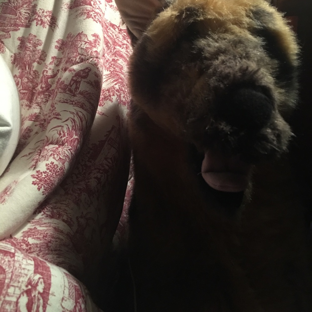 Meet your Posher, Georgia