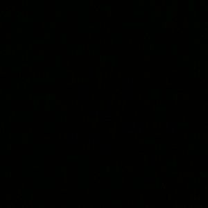 Meet your Posher, Allen