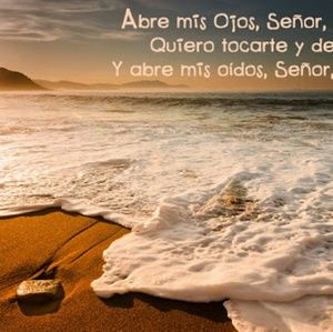 Meet your Posher, Ana