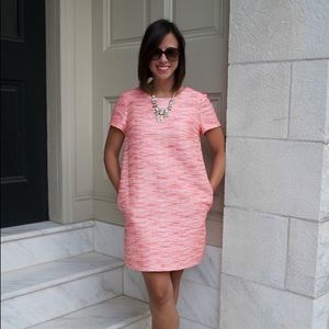 CeCe Cynthia Steffe Shift dress