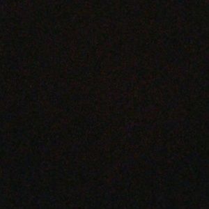 Meet your Posher, Xavier