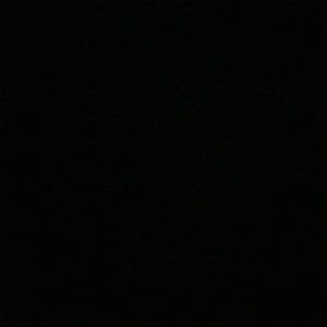 Meet your Posher, Leonard