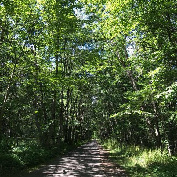 Meet your Posher, Michele - Picture 1 of 1