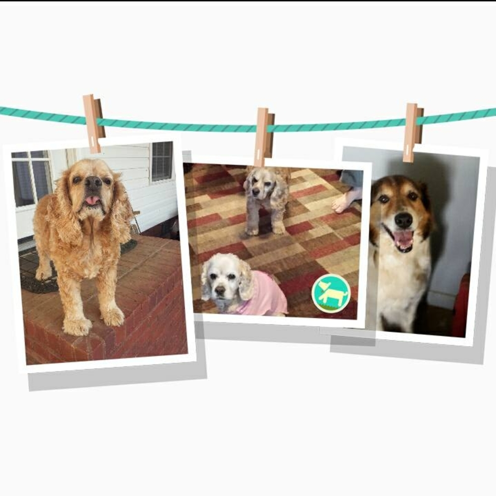 Meet your Posher, Pamela