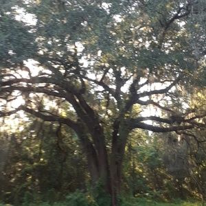 Meet your Posher, Candace